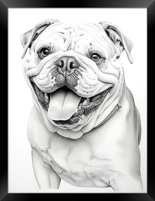 Pencil Drawing British Bulldog Framed Print by Steve Smith