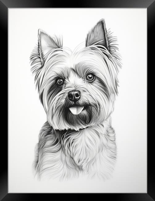Pencil Drawing Yorkshire Terrier Framed Print by Steve Smith