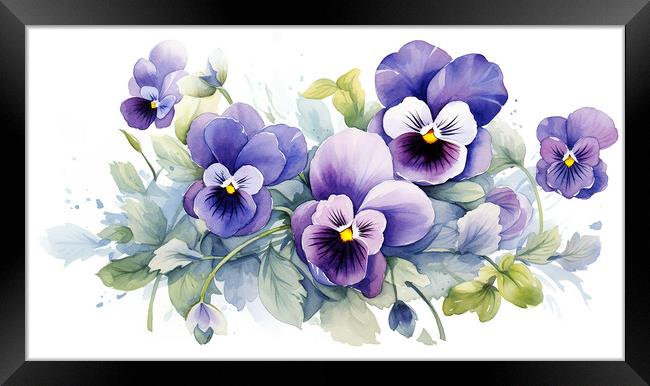 Watercolour Pansies Framed Print by Steve Smith