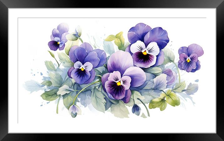 Watercolour Pansies Framed Mounted Print by Steve Smith