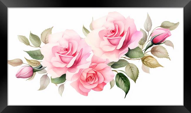 Watercolour Pink Roses Framed Print by Steve Smith