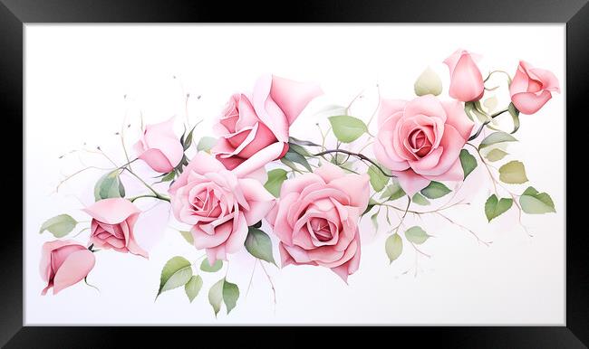 Watercolour Pink Roses Framed Print by Steve Smith