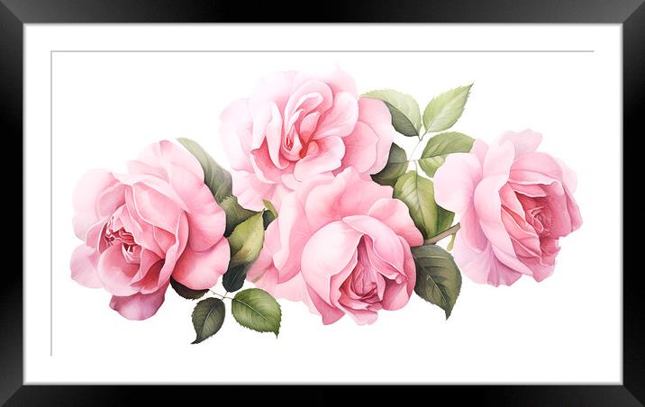 Watercolour Pink Roses Framed Mounted Print by Steve Smith