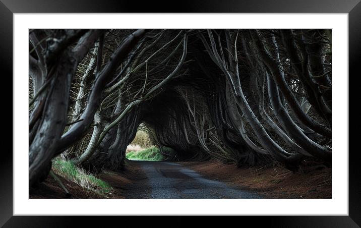 The Dark Hedges Framed Mounted Print by Steve Smith