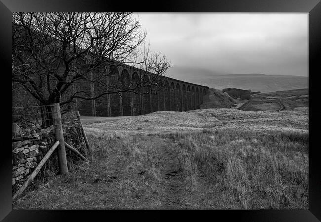 Ribblehead Viaduct Framed Print by Steve Smith