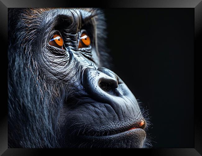 The Silverback Gorilla Framed Print by Steve Smith