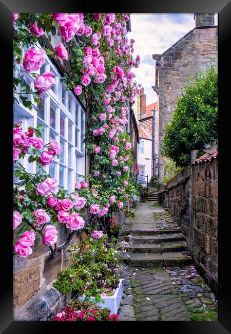 Enchanting Pink Roses Cottage Framed Print by Tim Hill
