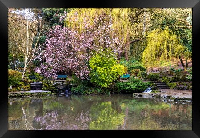 Peasholm Park Glenn Scarborough Yorkshire Framed Print by Tim Hill