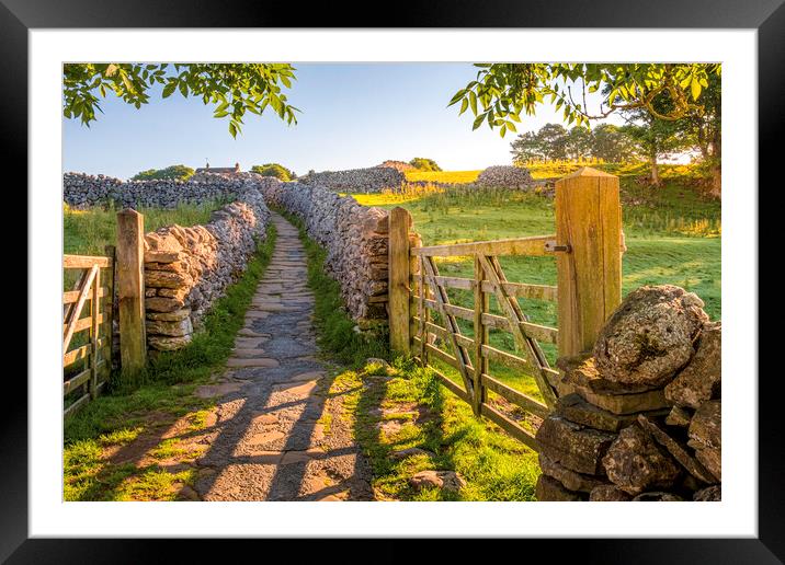 Sunrise Path through Yorkshire Countryside Framed Mounted Print by Tim Hill