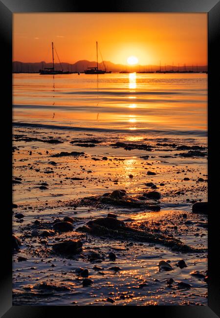 Sunrise dreams Abersoch Framed Print by Tim Hill