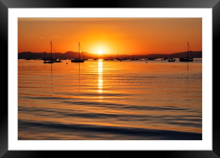 Golden Sunrise Serenade Framed Mounted Print by Tim Hill