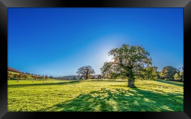 Yorkshire Dales Meadow Framed Print by Tim Hill
