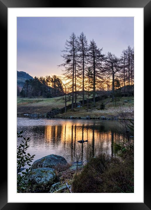 Blea Tarn, Little Langdale valley, Lake District Framed Mounted Print by Tim Hill