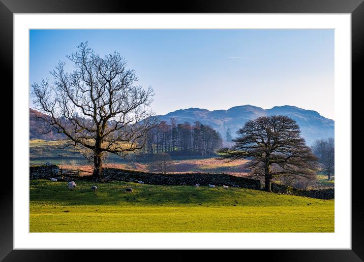 Elterwater Landscape The Lakes Cumbria Framed Mounted Print by Tim Hill