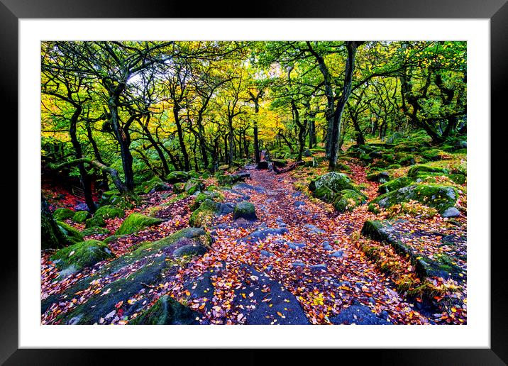 Padley Gorge in Autumn Framed Mounted Print by Tim Hill