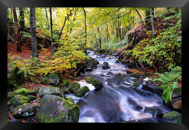 Padley Gorge In Autumn Framed Print by Tim Hill