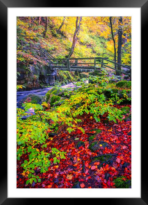 Padley Gorge Beautiful Autumn Framed Mounted Print by Tim Hill
