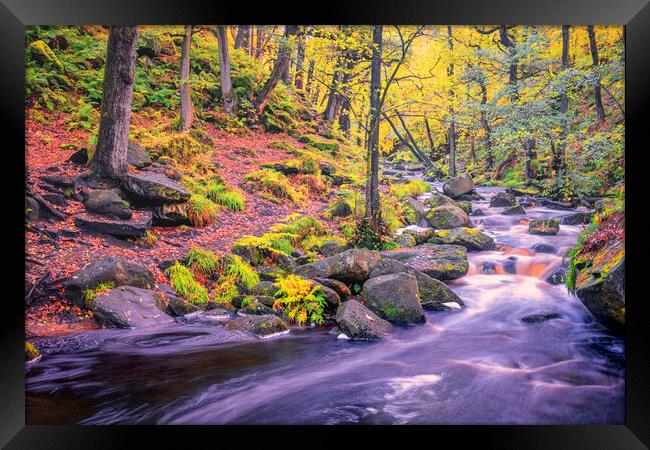 Enchanting Autumn Walk in Padley Gorge Framed Print by Tim Hill