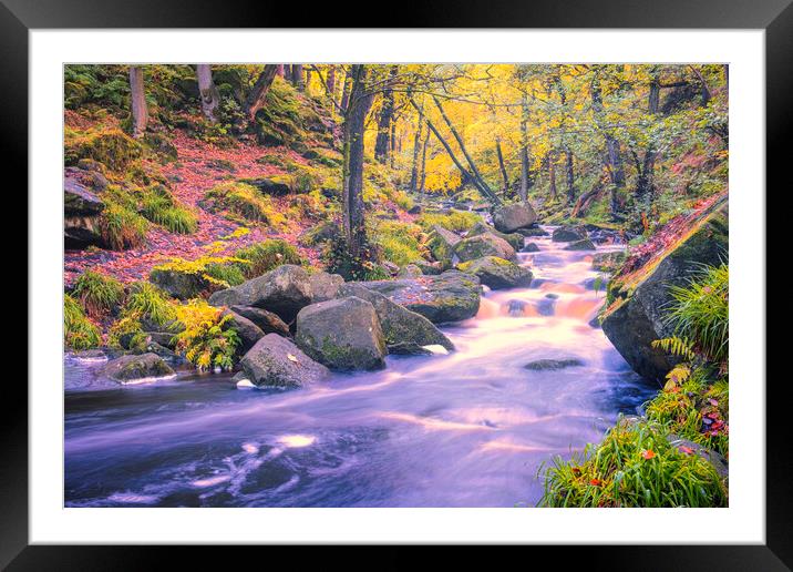 Enchanting Autumn Scene in Padley Gorge Framed Mounted Print by Tim Hill