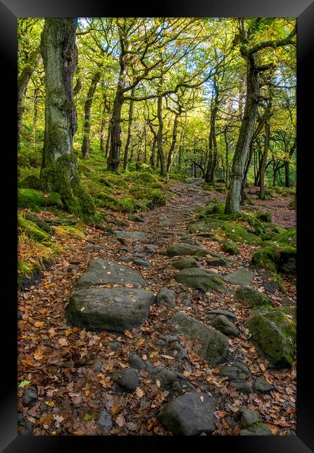 Padley Gorge Peak District Framed Print by Tim Hill