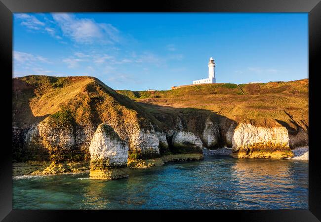 Flamborough sea stack and Lighthouse Framed Print by Tim Hill