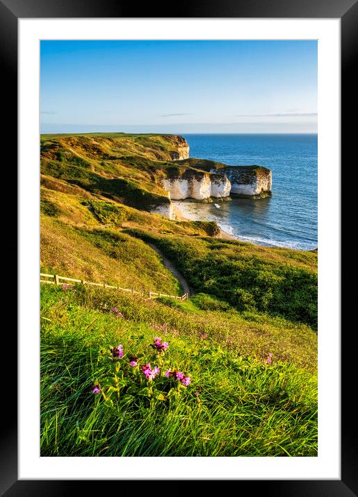 Flamborough Head Framed Mounted Print by Tim Hill