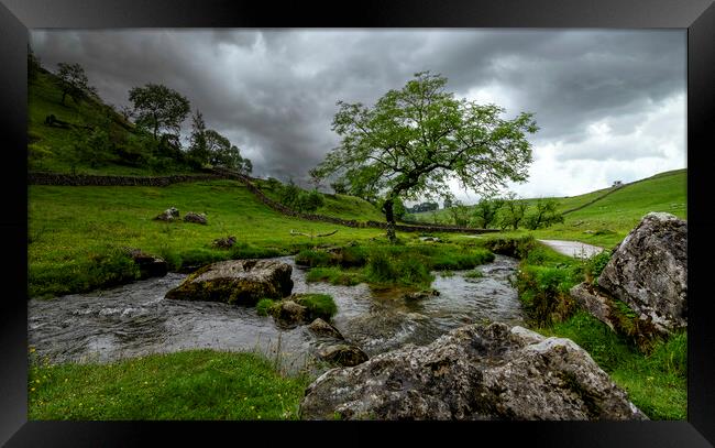 The Lonely Tree in Moody Skies Framed Print by Tim Hill