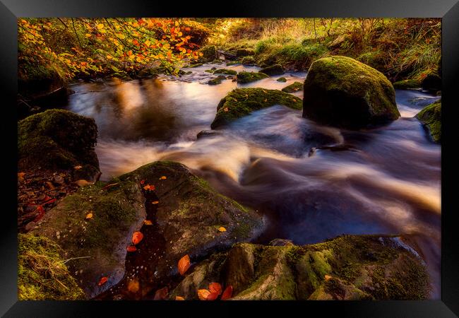 Enchanting Autumnal Wonderland Framed Print by Tim Hill