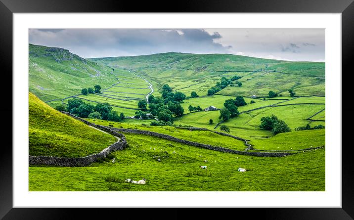 Dry Stone Walls Yorkshire Dales Framed Mounted Print by Tim Hill