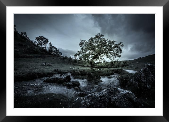 Lone Tree Malham Cove Framed Mounted Print by Tim Hill