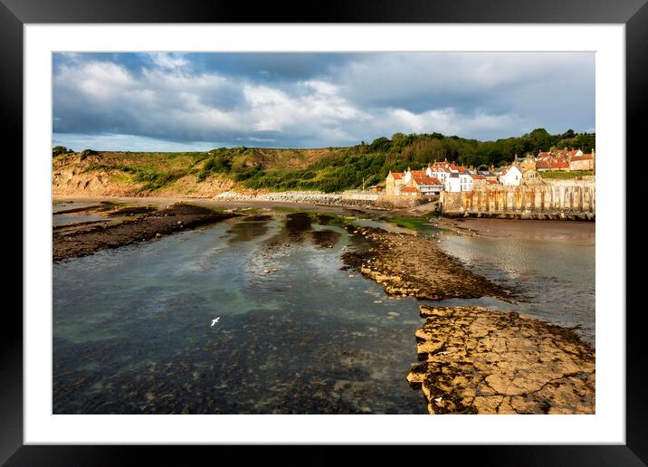 Seagull feed at Robin hoods Bay Framed Mounted Print by Tim Hill