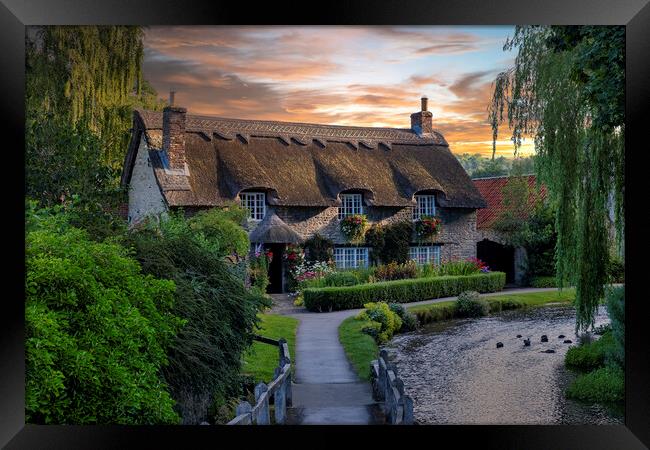 Riverside Thatched Beauty Framed Print by Tim Hill