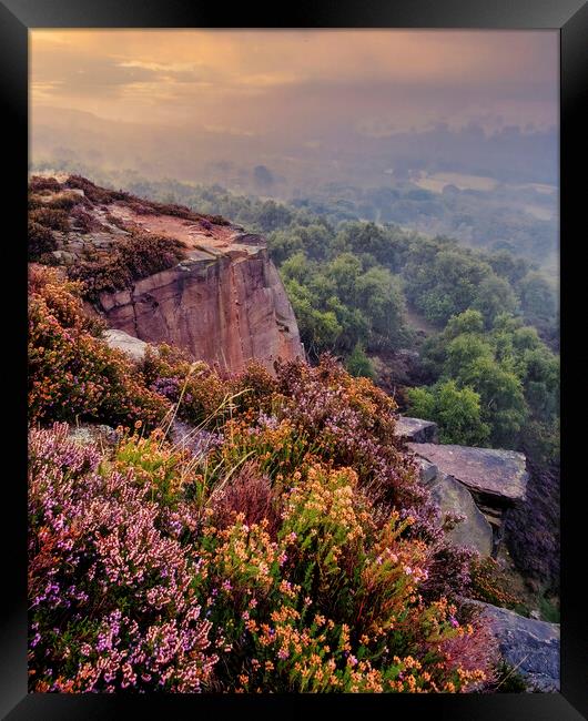 Majestic Sunrise Over Heather Framed Print by Tim Hill