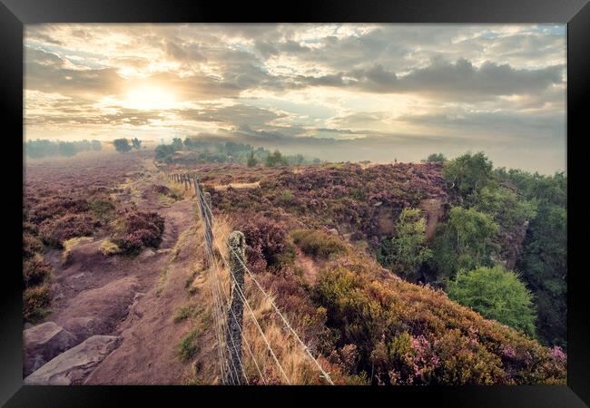 A Purple Moorland Dream Framed Print by Tim Hill