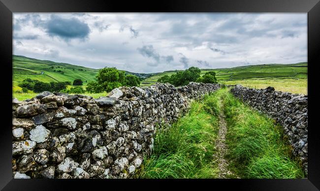 Dry Stone Walls to Malham Cove Framed Print by Tim Hill