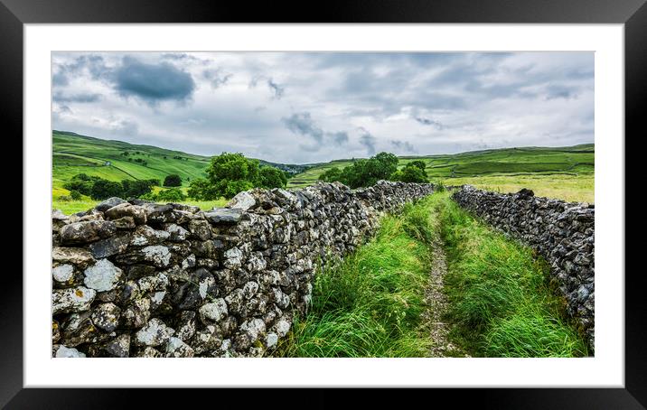 Dry Stone Walls to Malham Cove Framed Mounted Print by Tim Hill