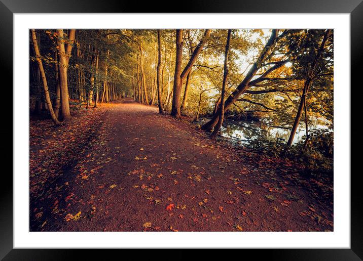 Newmillerdam Wakefield Framed Mounted Print by Tim Hill