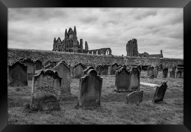 Whitby Abbey Framed Print by Tim Hill