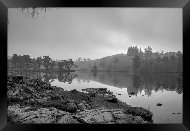 Tranquil Beauty at Tarn Hows Framed Print by Tim Hill