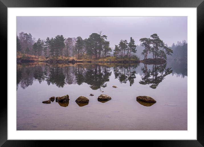 Serene Reflections of Misty Tarn Hows Framed Mounted Print by Tim Hill
