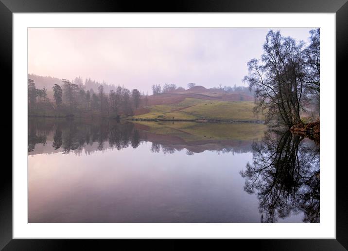 Tarn Hows Waterside Framed Mounted Print by Tim Hill
