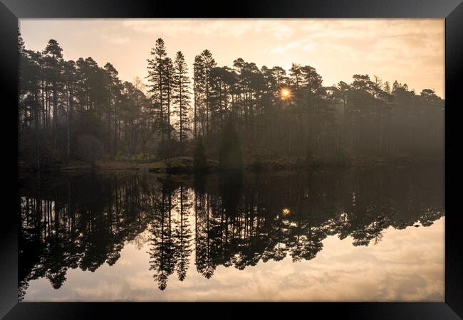 Sunrise at Tarn Hows Framed Print by Tim Hill