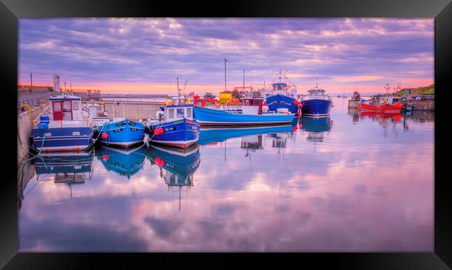 Seahouses Harbour Framed Print by Tim Hill