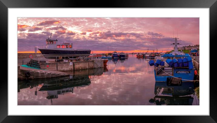 Serene Sunrise Over Seahouses Harbor Framed Mounted Print by Tim Hill
