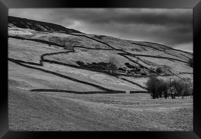 Swaledale Countryside Black and White Framed Print by Tim Hill