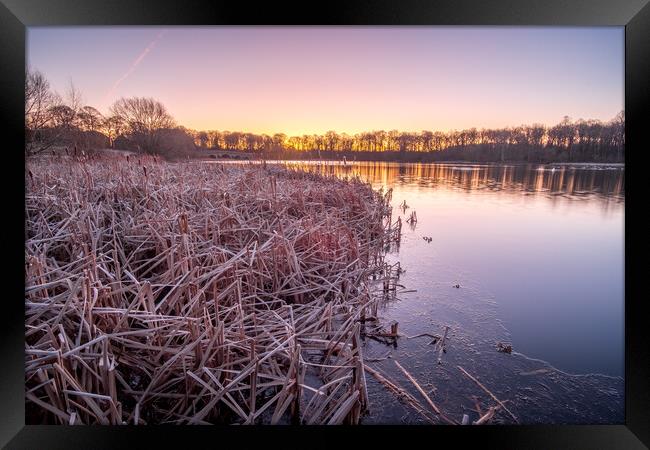 Serenity at Nostell Top Lake Framed Print by Tim Hill