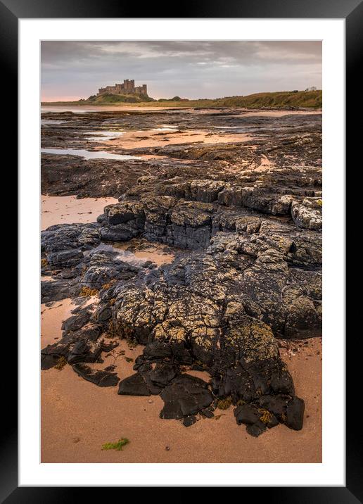 Bamburgh Castle from Harkness rocks Framed Mounted Print by Tim Hill