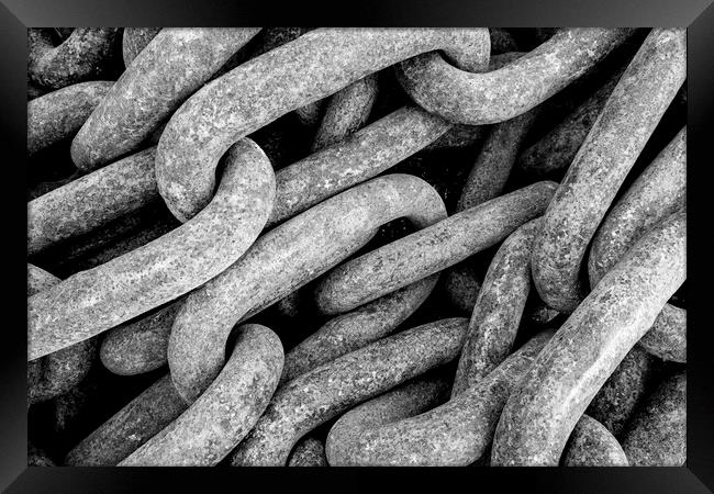Nautical Chain Links Black and White Framed Print by Tim Hill