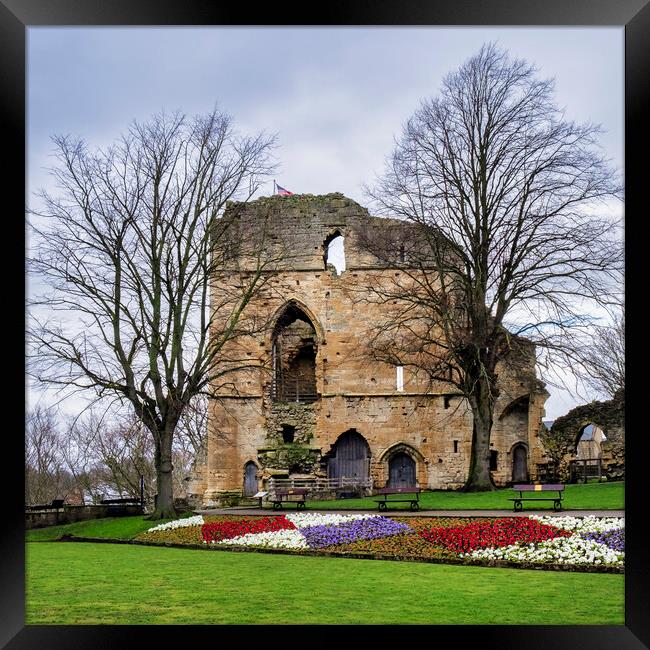 Blooming Knaresborough Castle Framed Print by Tim Hill