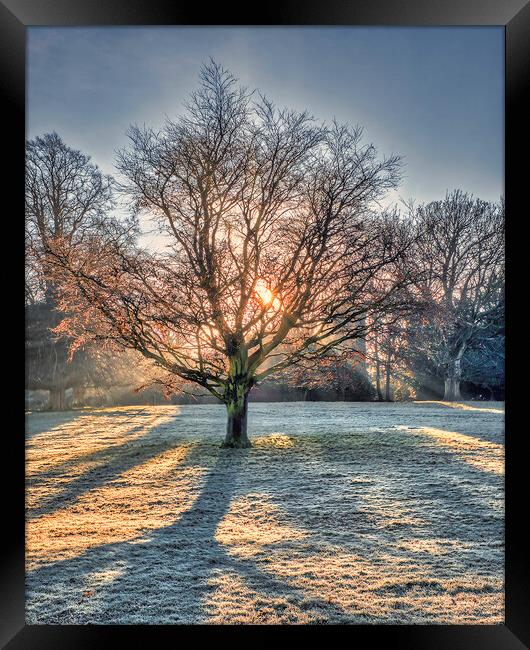 Winter Sun Rays at Wakefield Framed Print by Tim Hill